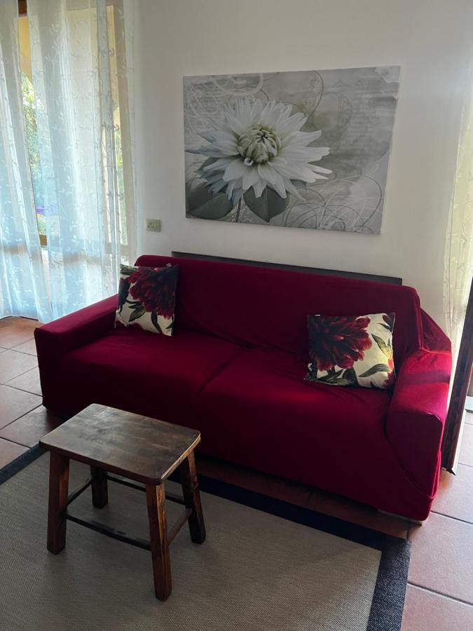 Villa Gabry E Villa Fiorita Camaiore Dış mekan fotoğraf